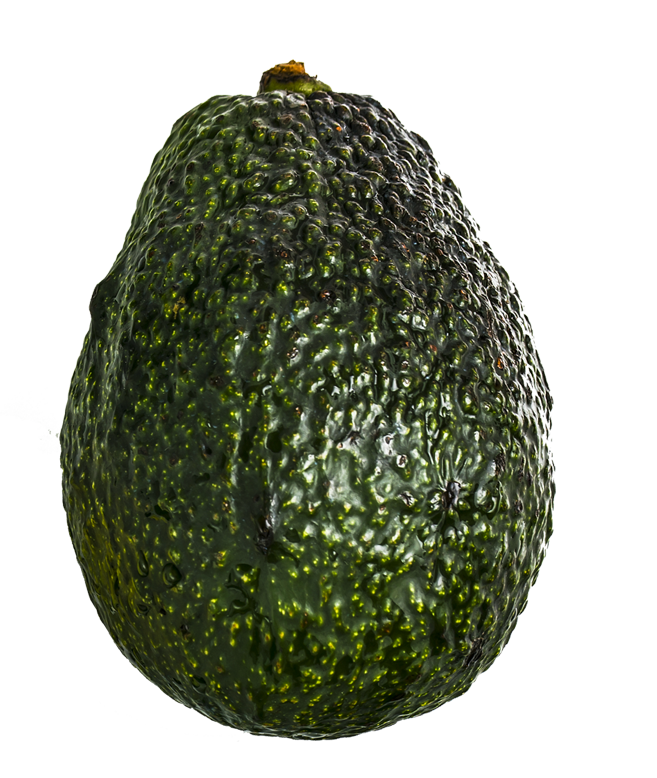 Avocado first class